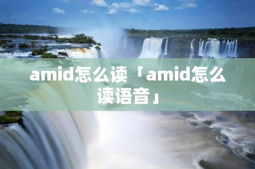 amid怎么读「amid怎么读语音」 amid怎么读「amid怎么读语音」
