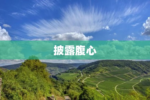 披露腹心:揭开权力背后的黑幕