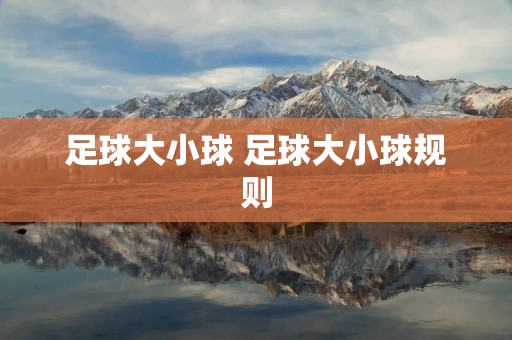 足球大小球 足球大小球规则