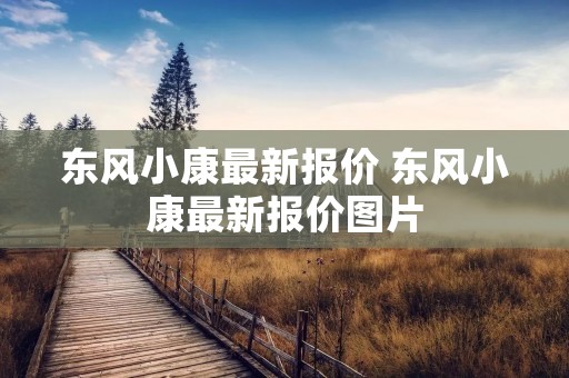 东风小康最新报价 东风小康最新报价图片