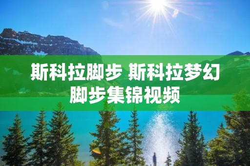 斯科拉脚步 斯科拉梦幻脚步集锦视频