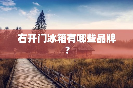右开门冰箱有哪些品牌? 右开门冰箱有哪些品牌?