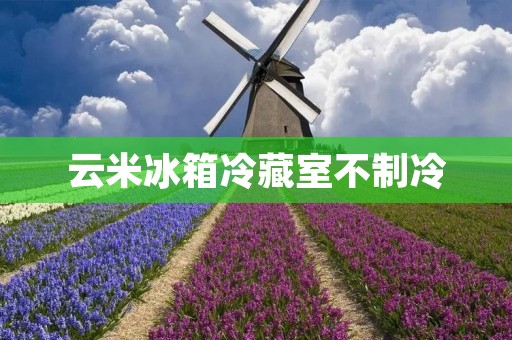 云米冰箱冷藏室不制冷:原因及解决方法 云米冰箱冷藏室不制冷:原因及解决方法