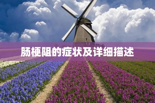 肠梗阻的症状及详细描述