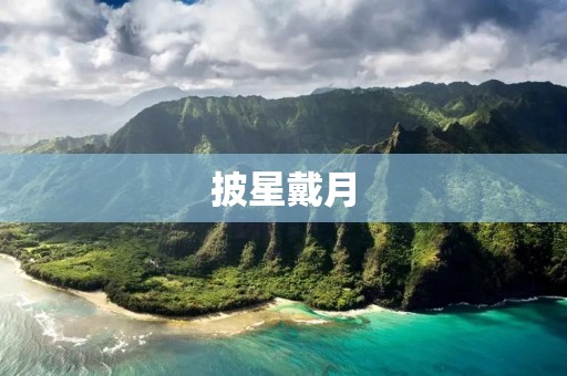 披星戴月:坚持不懈的努力与奋斗