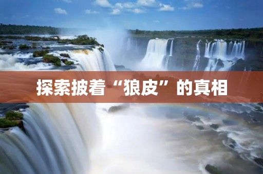 探索披着“狼皮”的真相