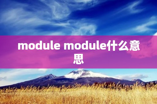 module module什么意思