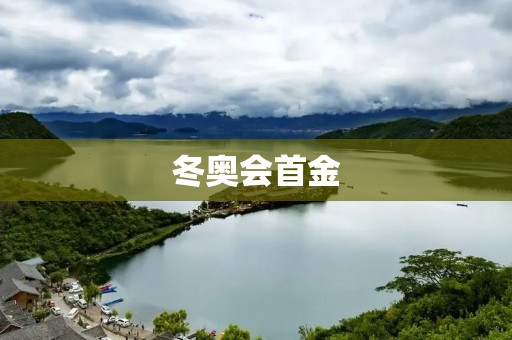 冬奥会首金：揭秘首位夺金运动员的辉煌壮举