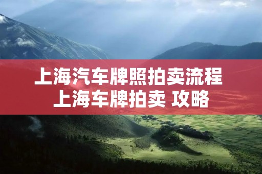 上海汽车牌照拍卖流程 上海车牌拍卖 攻略 上海汽车牌照拍卖流程 上海车牌拍卖 攻略