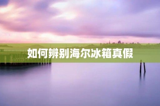 如何辨别海尔冰箱真假 如何辨别海尔冰箱真假