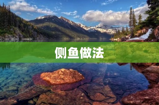 侧鱼做法:美味佳肴的烹饪技巧 侧鱼做法:美味佳肴的烹饪技巧