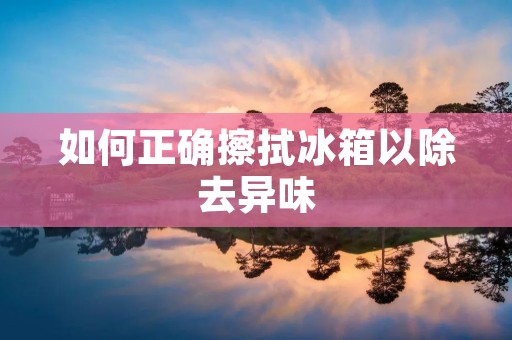 如何正确擦拭冰箱以除去异味