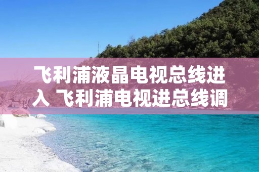 飞利浦液晶电视总线进入 飞利浦电视进总线调屏参 飞利浦液晶电视总线进入 飞利浦电视进总线调屏参