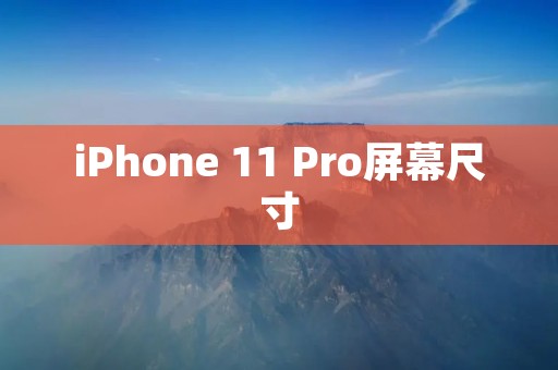 iPhone 11 Pro屏幕尺寸:探索苹果旗舰手机的视觉享受