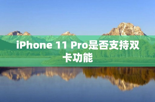 iPhone 11 Pro是否支持双卡功能