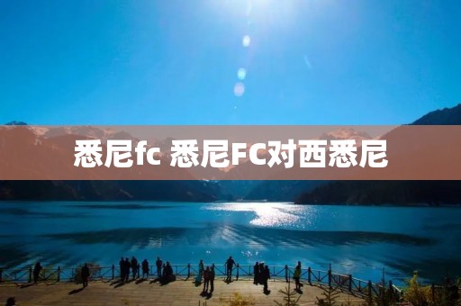 悉尼fc 悉尼FC对西悉尼