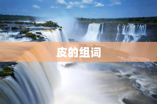 皮的组词