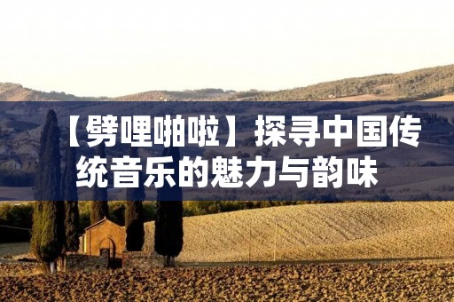 【劈哩啪啦】探寻中国传统音乐的魅力与韵味