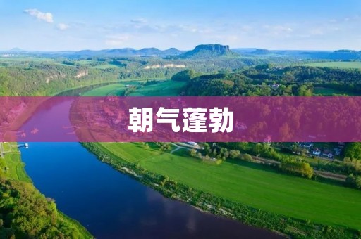 朝气蓬勃:充满活力的近义词