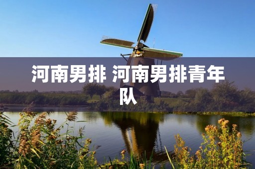 河南男排 河南男排青年队