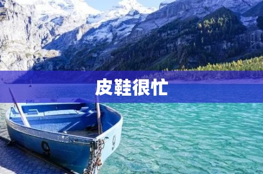 皮鞋很忙:一个忙碌而奋斗的鞋子的故事