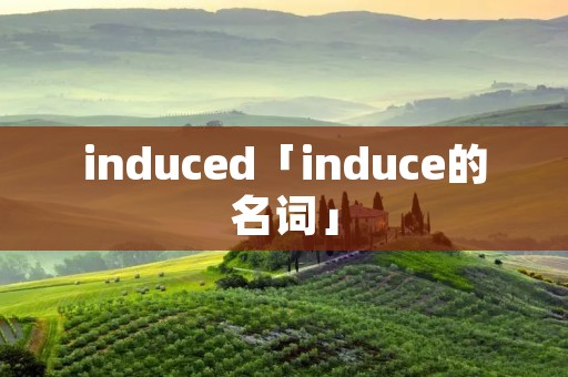 induced「induce的名词」