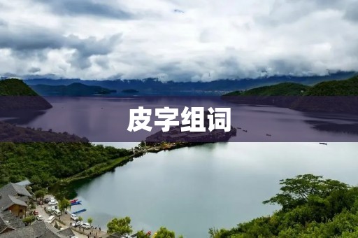 皮字组词:探寻中华文化中的皮字之美