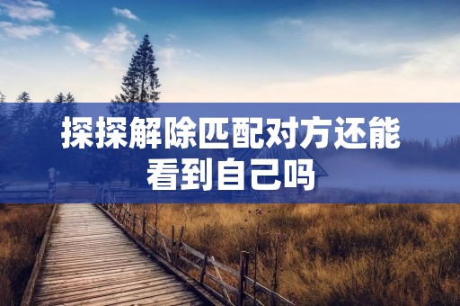 探探解除匹配对方还能看到自己吗