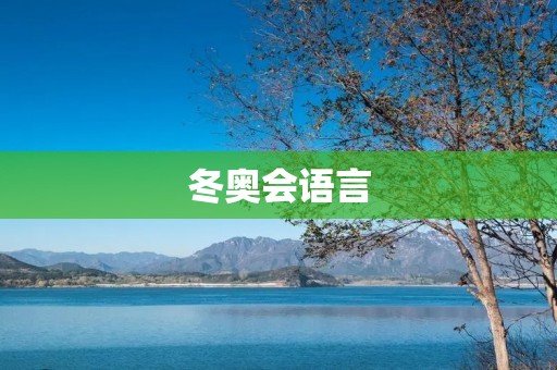 冬奥会语言：传递友谊与文化的桥梁