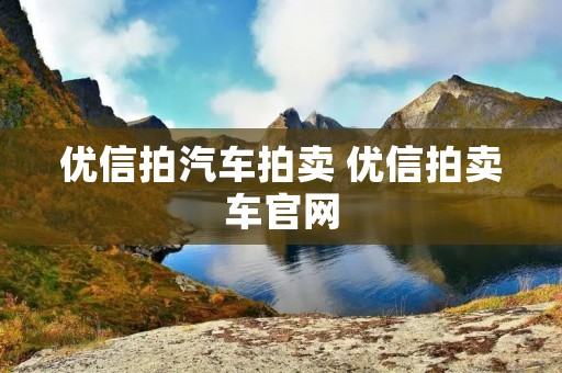优信拍汽车拍卖 优信拍卖车官网