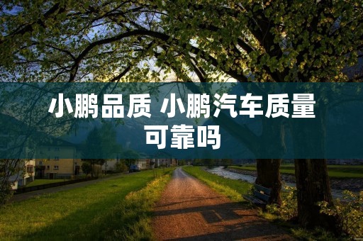 小鹏品质 小鹏汽车质量可靠吗
