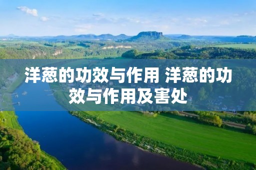 洋葱的功效与作用 洋葱的功效与作用及害处