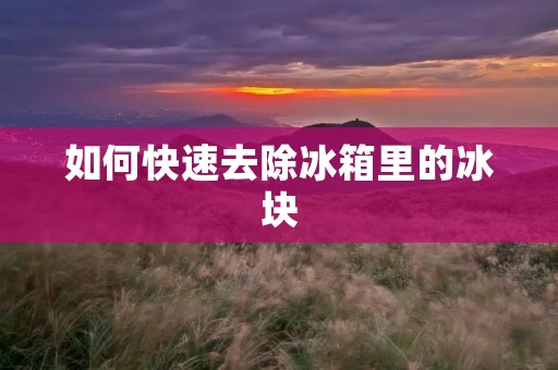 如何快速去除冰箱里的冰块 如何快速去除冰箱里的冰块