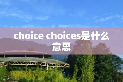 choice choices是什么意思