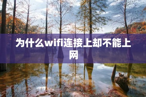 为什么wifi连接上却不能上网
