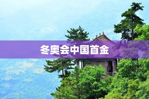 冬奥会中国首金:破冰而出的辉煌时刻 冬奥会中国首金:破冰而出的辉煌时刻