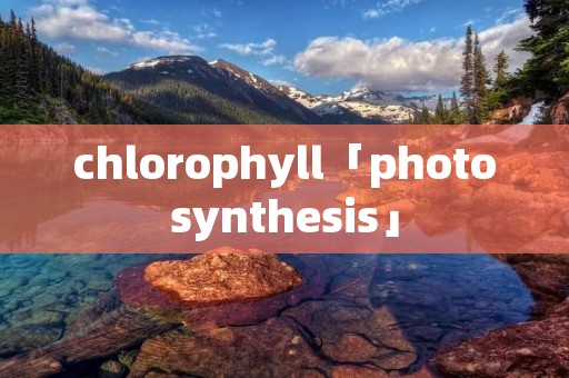 chlorophyll「photosynthesis」