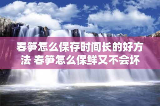 春笋怎么保存时间长的好方法 春笋怎么保鲜又不会坏