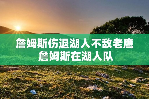 詹姆斯伤退湖人不敌老鹰 詹姆斯在湖人队