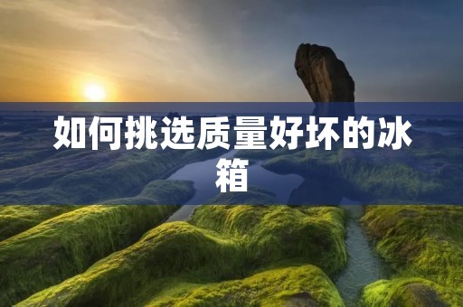 如何挑选质量好坏的冰箱 如何挑选质量好坏的冰箱