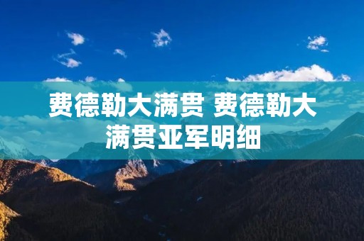 费德勒大满贯 费德勒大满贯亚军明细