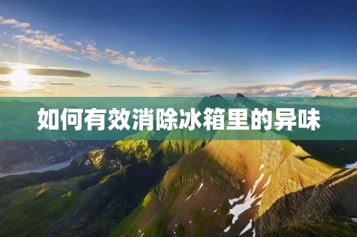 如何有效消除冰箱里的异味 如何有效消除冰箱里的异味