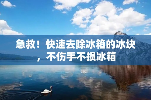 急救！快速去除冰箱的冰块，不伤手不损冰箱