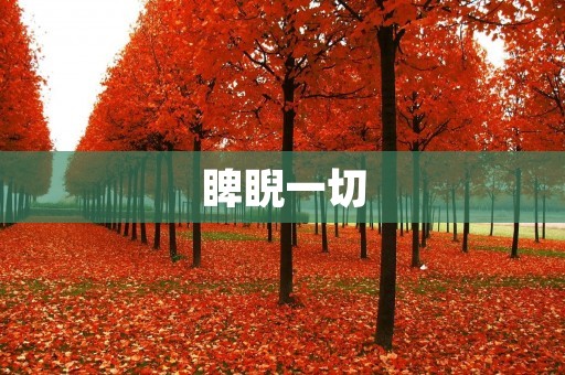 睥睨一切:傲视天下的背后故事