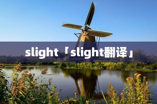 slight「slight翻译」
