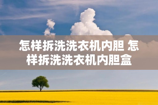 怎样拆洗洗衣机内胆 怎样拆洗洗衣机内胆盒