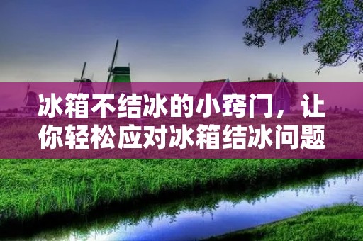 冰箱不结冰的小窍门，让你轻松应对冰箱结冰问题