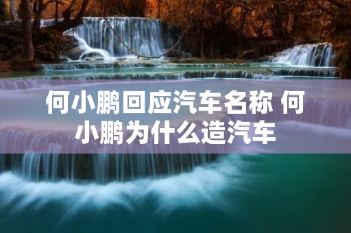 何小鹏回应汽车名称 何小鹏为什么造汽车