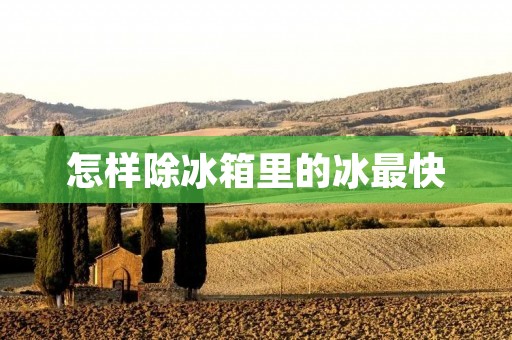 怎样除冰箱里的冰最快 怎样除冰箱里的冰最快