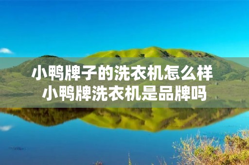 小鸭牌子的洗衣机怎么样 小鸭牌洗衣机是品牌吗